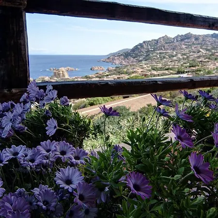 Costa North Sardinia Apartment *